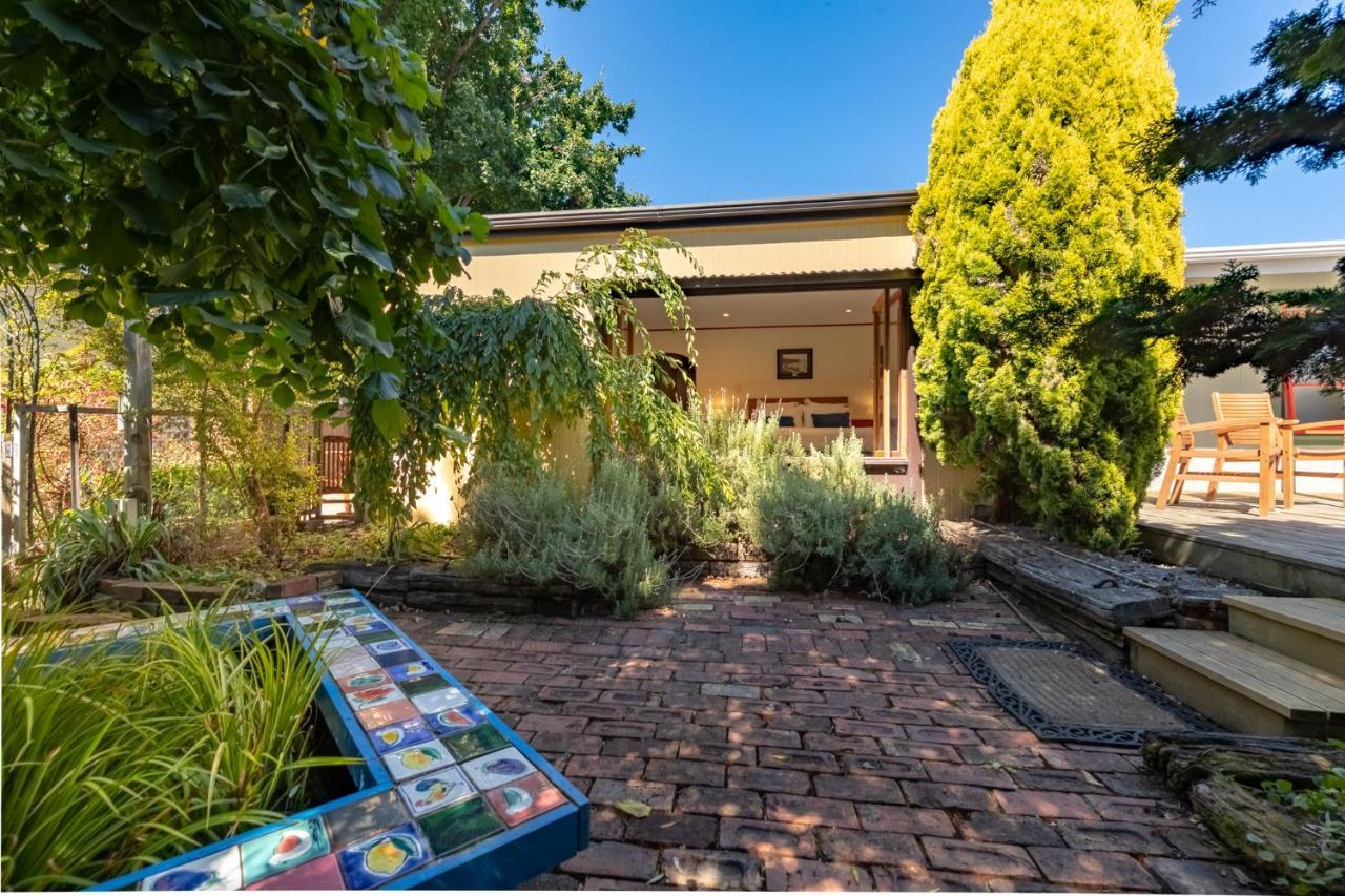 גרייטאון Shy Cottage And Studio מראה חיצוני תמונה