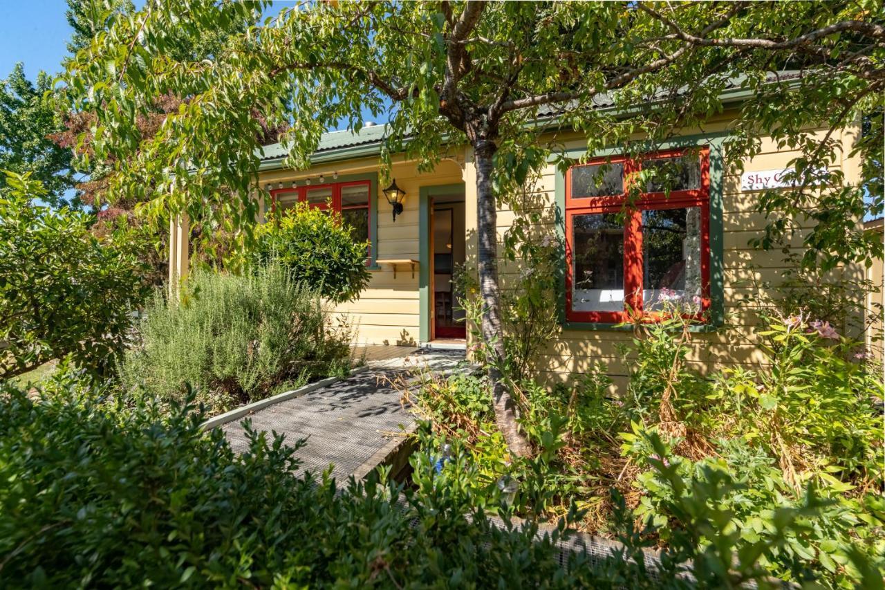 גרייטאון Shy Cottage And Studio מראה חיצוני תמונה